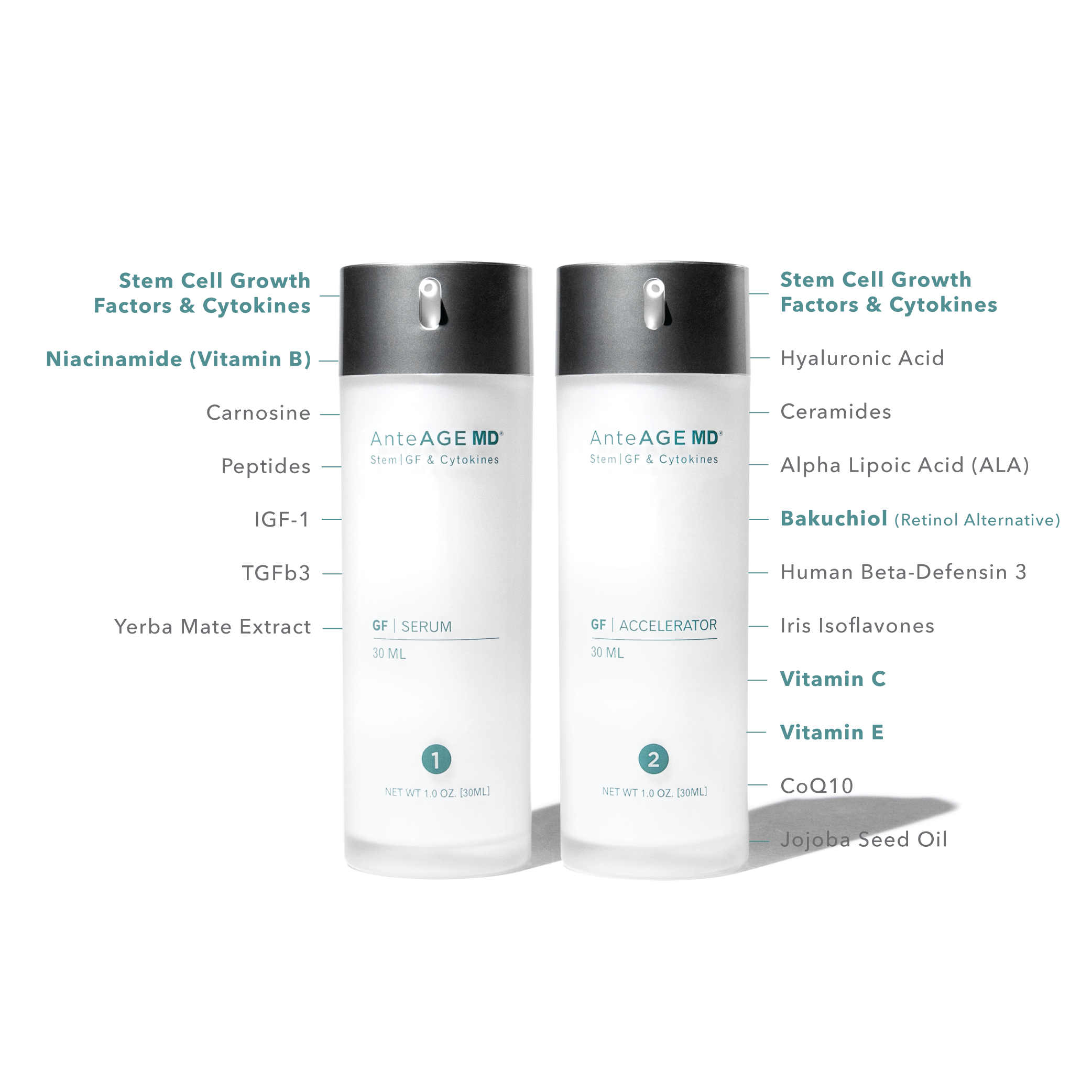 AnteAGE MD Serum and Accelerator bottles side by side with labeled key ingredients including stem cell growth factors, niacinamide, hyaluronic acid, bakuchiol, and vitamin C